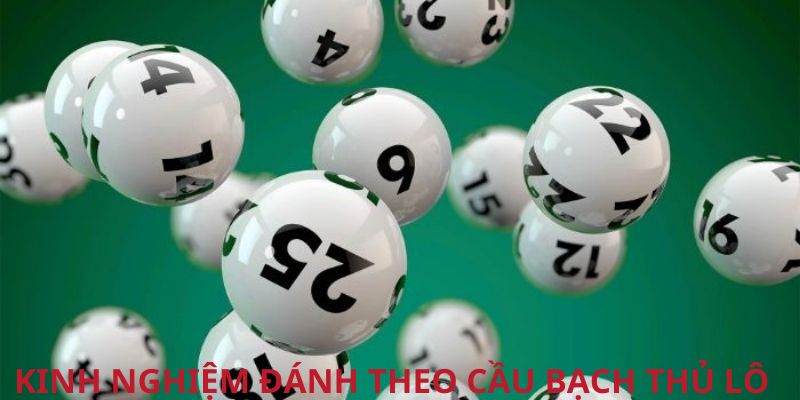 Chia sẻ một số kinh nghiệm chơi lô theo bạch thủ